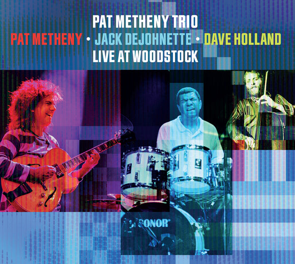 Pat Metheny - Live At Woodstock