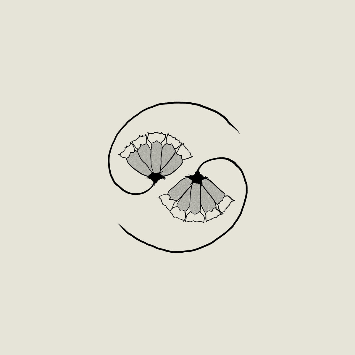 Godspeed You! Black Emperor - G_d's Pee AT STATE'S END! – tempo
