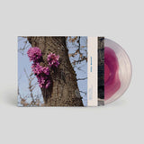 Duval Timothy - Meeting With A Judas Tree