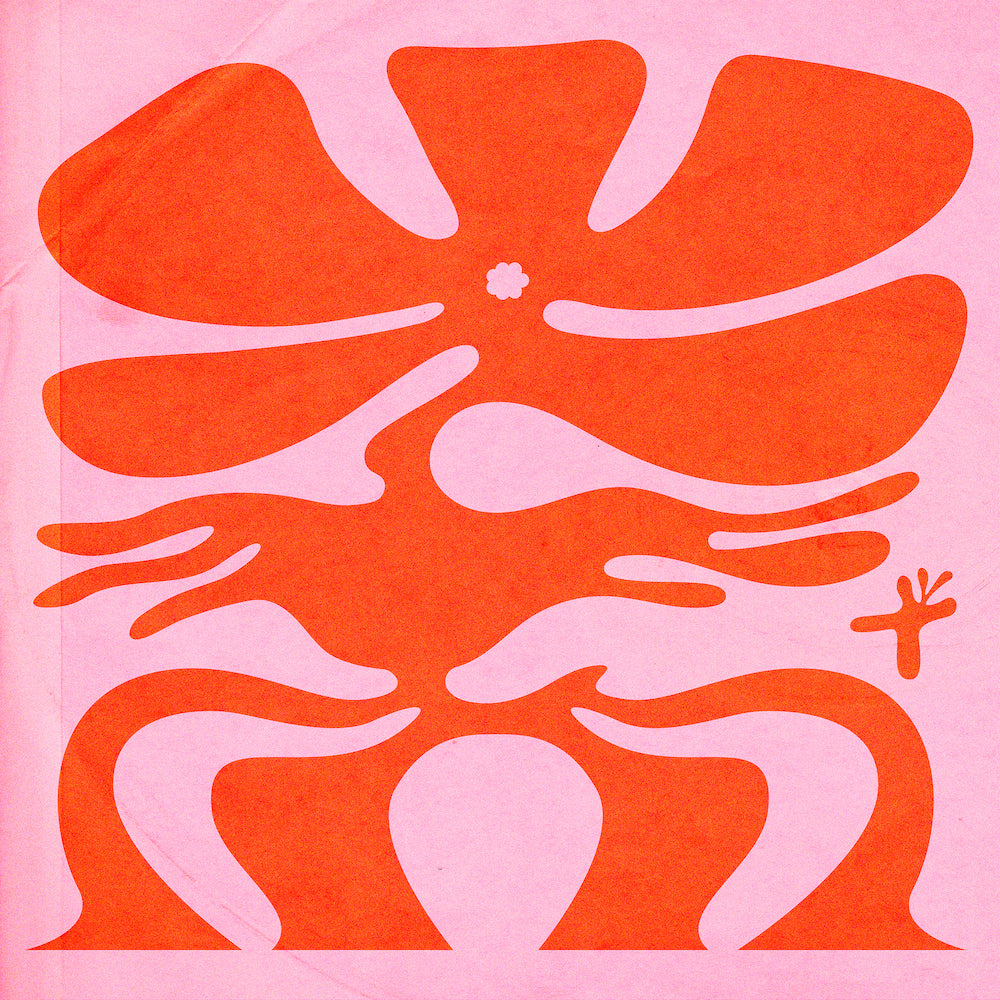 チムチム　0107 ♡ 楽天市場】マムス K-キムチ / マムスフード キムチ 100％ 韓国産キムチ