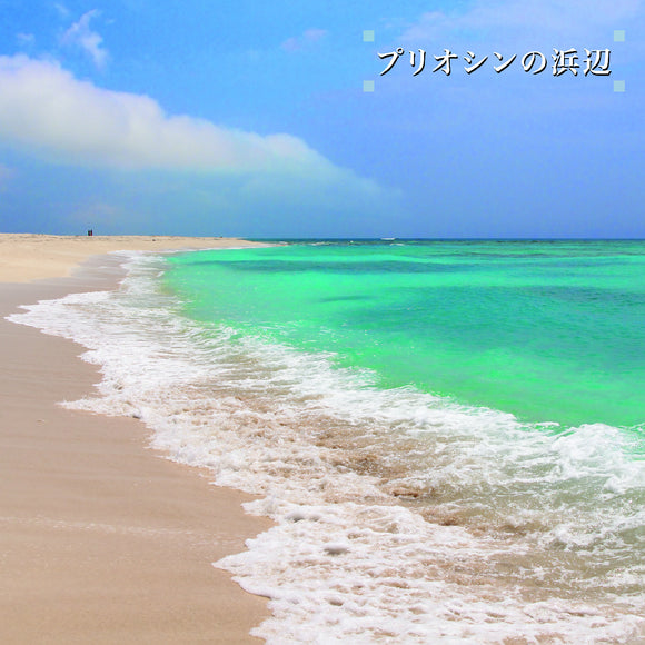 Ken-ichiro Isoda - Beach of the Pliocene