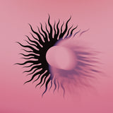 [PRE-ORDER] AFI - Silver Bleeds the Black Sun...