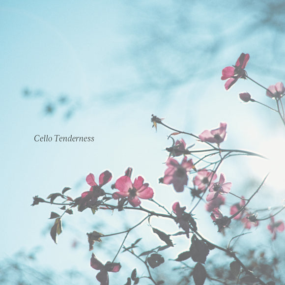 [PRE-ORDER] V.A. - Cello Tenderness