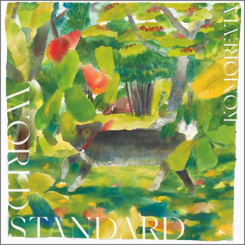 h hunt - playing piano for dad (LP) – tempo