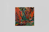 [PRE-ORDER]Akusmi - Terra Incognita