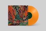 [PRE-ORDER]Akusmi - Terra Incognita