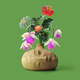 ＜アウトレット＞ ELEPHANT GYM - DREAMS（LPレコード / Flower Petal Vinyl）
