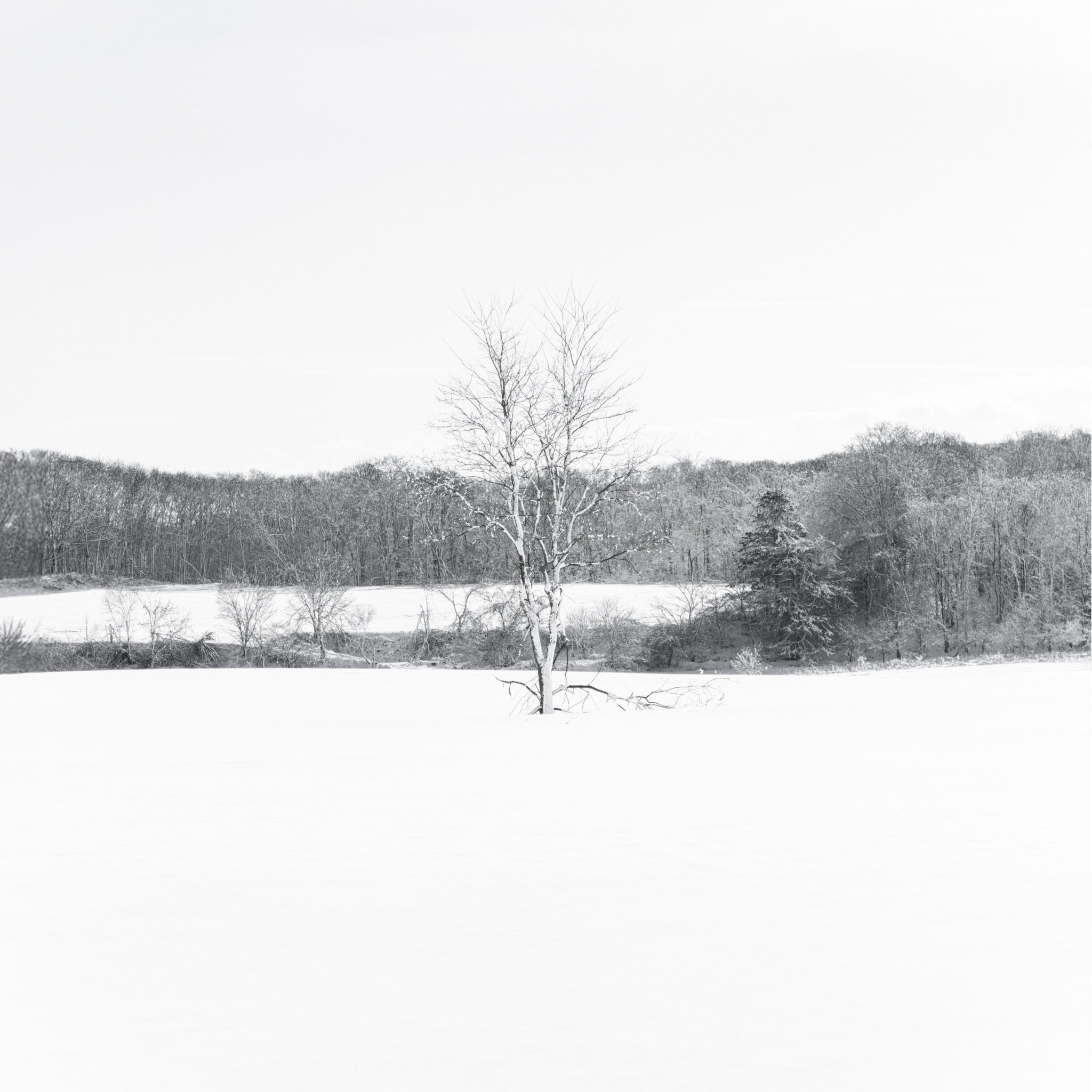 sora - re.sort – tempo