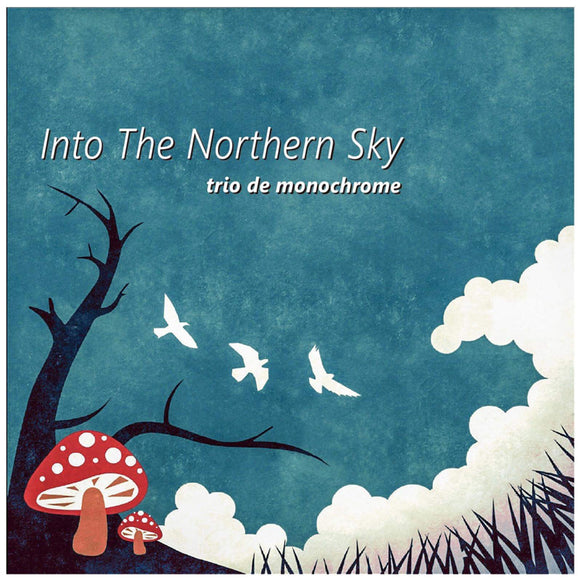 trio de monochrome  - Into The Northern Sky