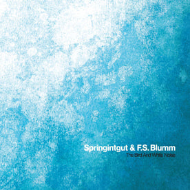 Springintgut & F.S. Blumm - Bird And White Noise