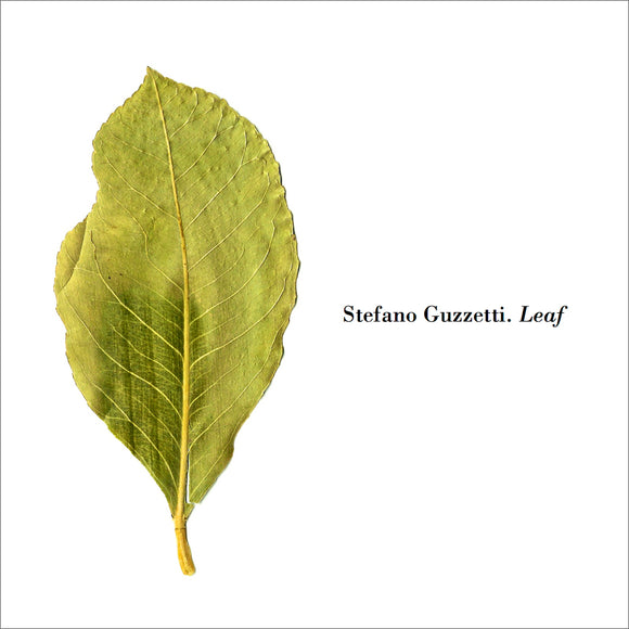 Stefano Guzzetti - Leaf