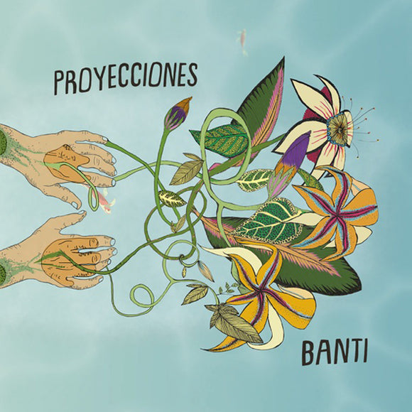 Banti - Proyecciones