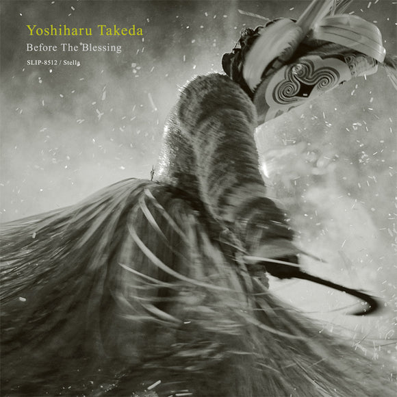 Yoshiharu Takeda - Before The Blessing（LP）