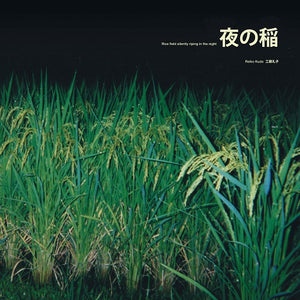 Reiko Kudo （工藤礼子） - Rice Field Silently Riping In The Night（夜の稲）